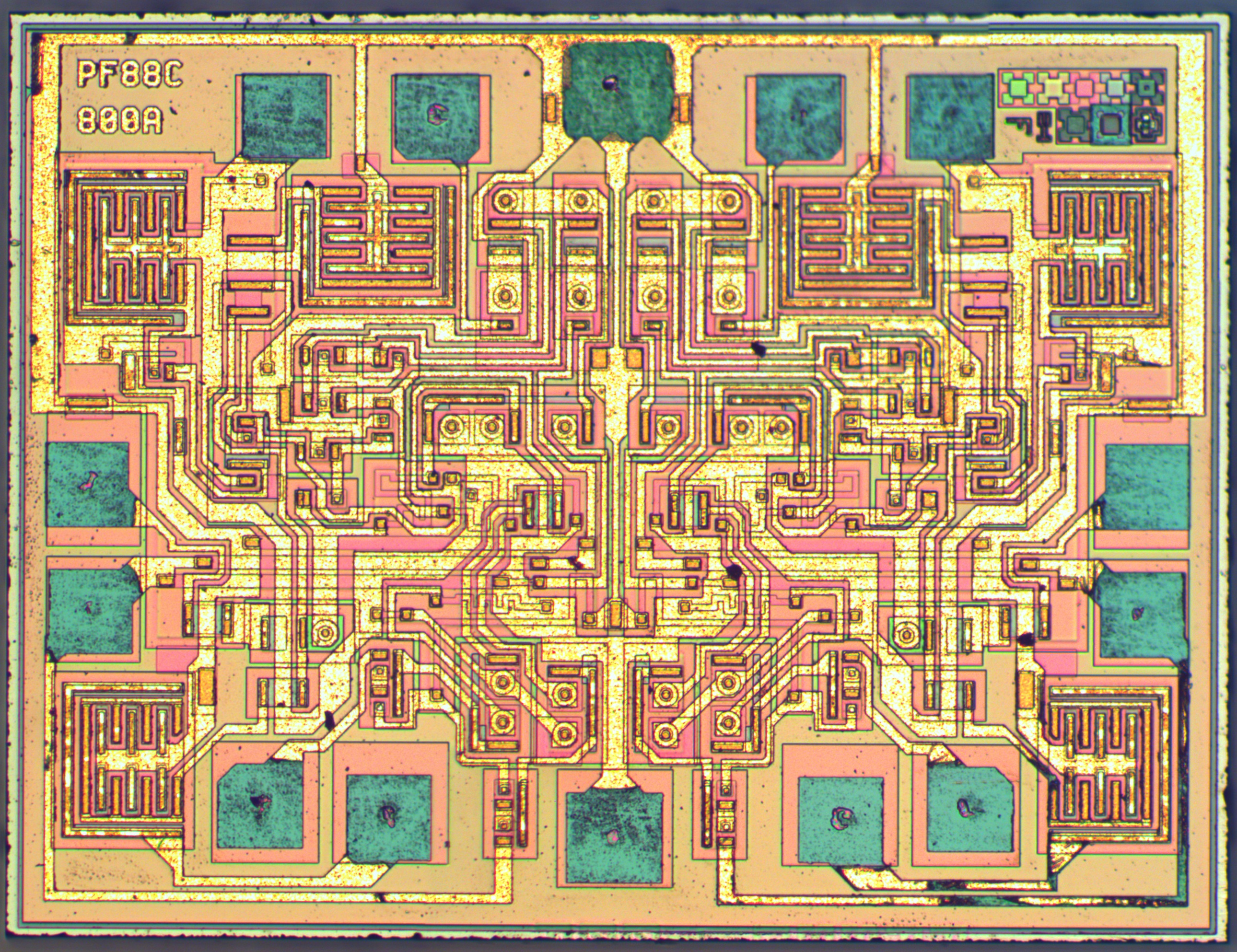 STMicroelectronics NE556 chip photo