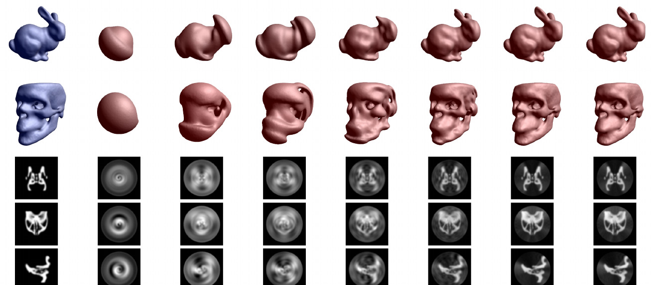 Spherical harmonics reconstruction at increasing orders (rabbit and skull)